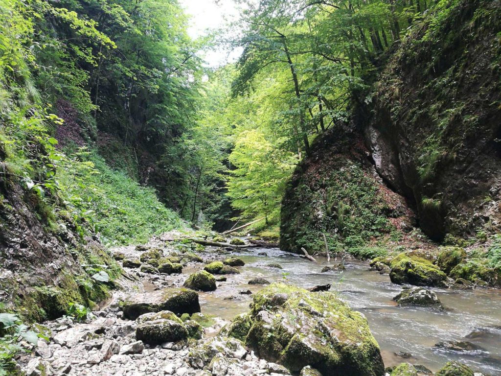 https://mdw-travel-data-us-east-1.s3.amazonaws.com/img/country/Romania/Padis-Plateau/img_03.jpg