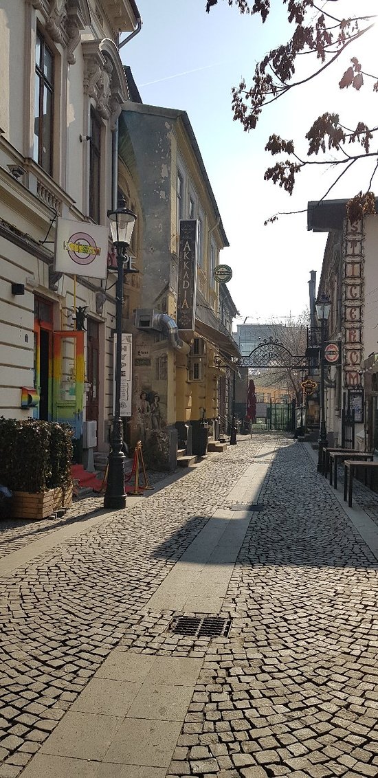 https://mdw-travel-data-us-east-1.s3.amazonaws.com/img/country/Romania/Romanian-Kitsch-Museum/img_00.jpg