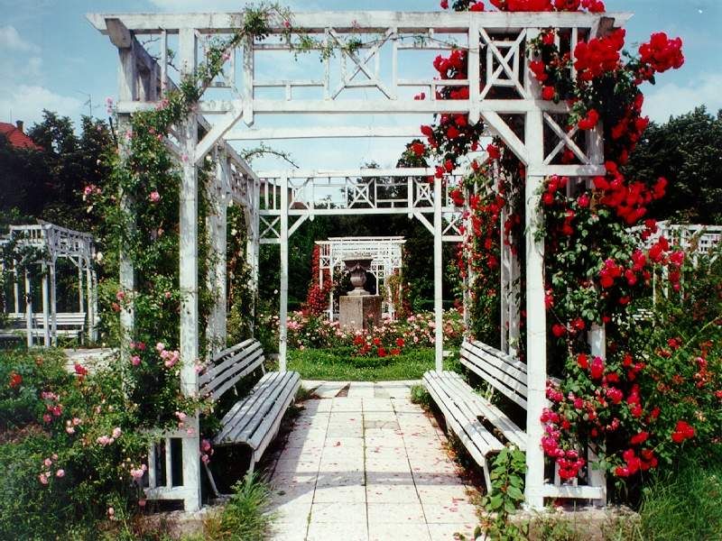 https://mdw-travel-data-us-east-1.s3.amazonaws.com/img/country/Romania/Roses-Park/img_00.jpg