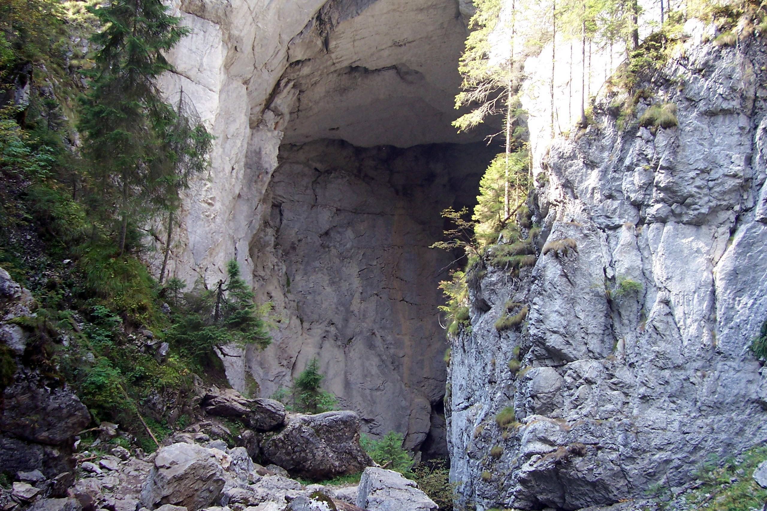 https://mdw-travel-data-us-east-1.s3.amazonaws.com/img/country/Romania/Scradoasa-Cave/img_03.jpg