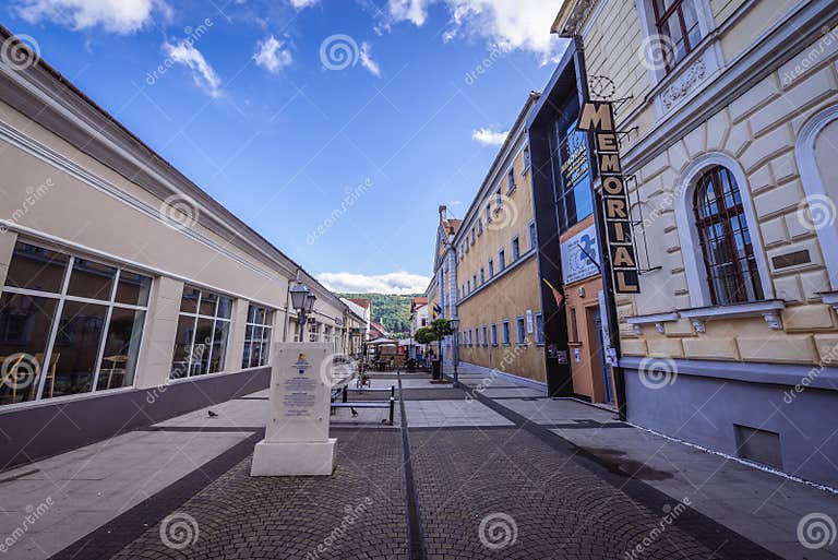 https://mdw-travel-data-us-east-1.s3.amazonaws.com/img/country/Romania/Sighetu-Marmatiei-Memorial-Museum/img_03.jpg