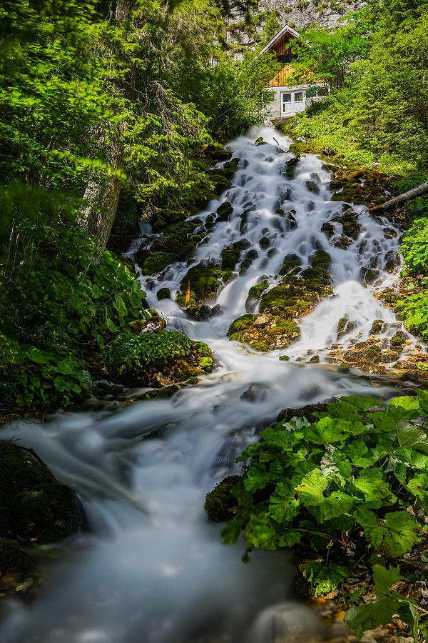 https://mdw-travel-data-us-east-1.s3.amazonaws.com/img/country/Romania/Zavoi-Waterfall/img_02.jpg