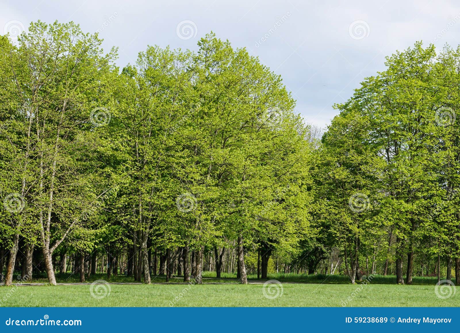 https://mdw-travel-data-us-east-1.s3.amazonaws.com/img/country/Russia/Botanical-Garden-of-the-Kuban-State-University/img_00.jpg