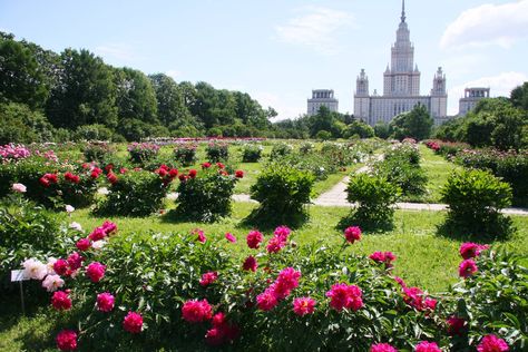 https://mdw-travel-data-us-east-1.s3.amazonaws.com/img/country/Russia/Botanical-Garden-of-the-Kuban-State-University/img_03.jpg