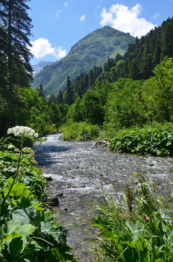 https://mdw-travel-data-us-east-1.s3.amazonaws.com/img/country/Russia/Caucasian-State-Natural-Biosphere-Reserve/img_01.jpg