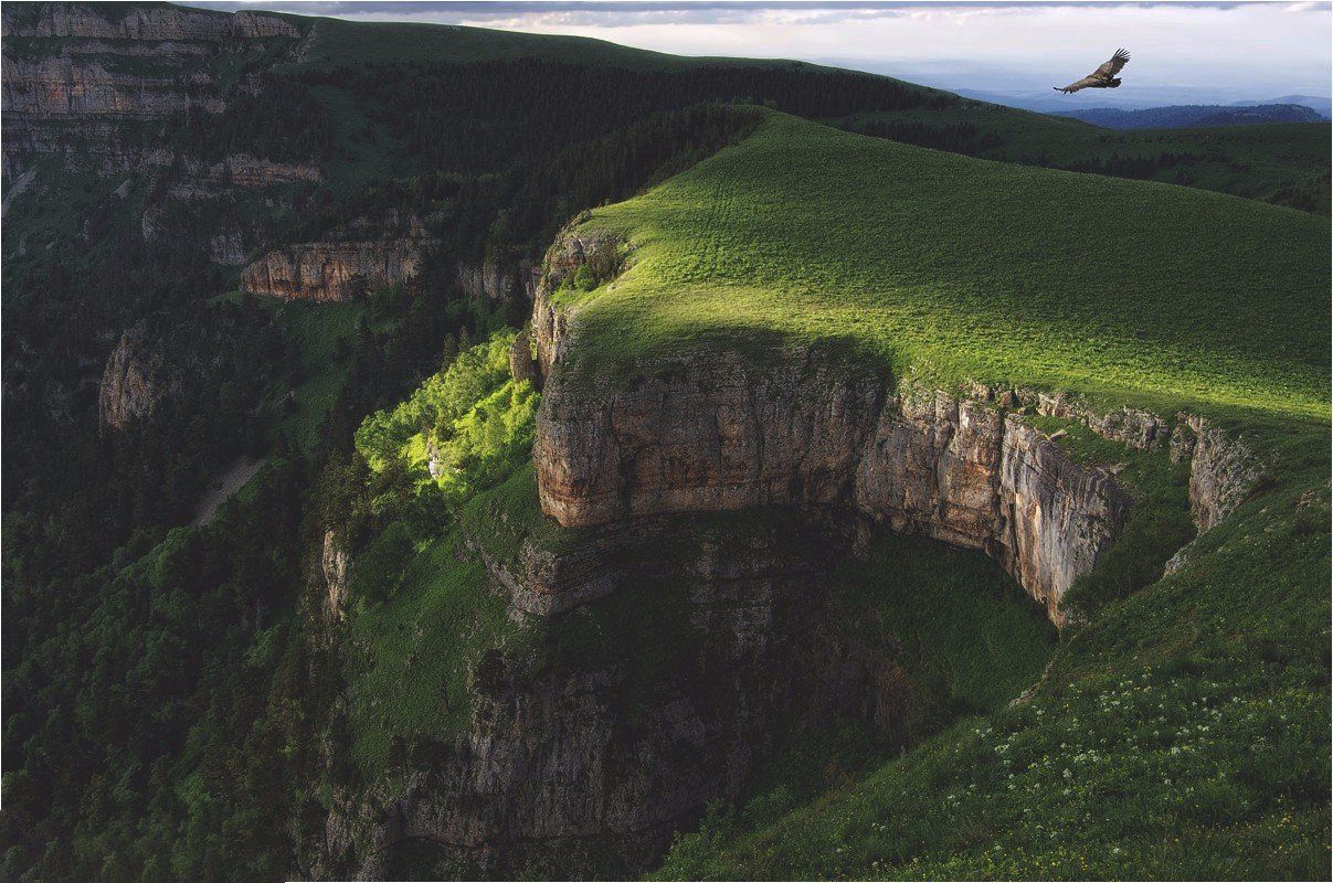 https://mdw-travel-data-us-east-1.s3.amazonaws.com/img/country/Russia/Caucasian-State-Natural-Biosphere-Reserve/img_05.jpg