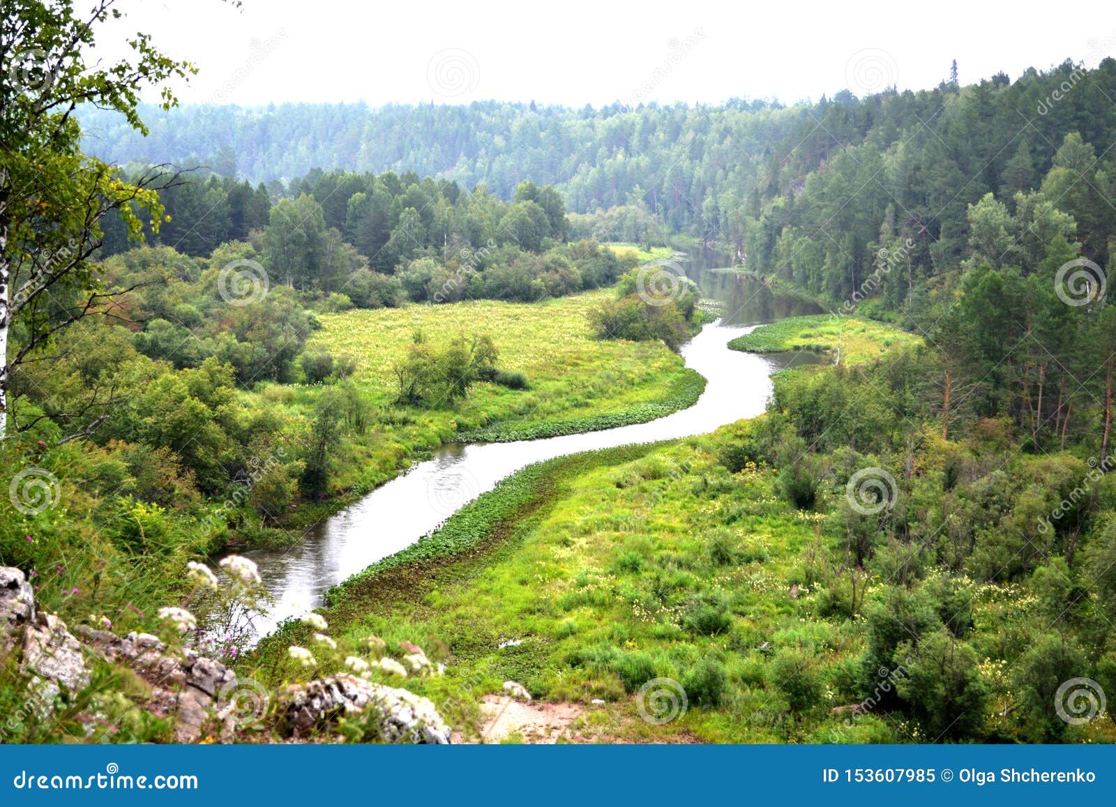 https://mdw-travel-data-us-east-1.s3.amazonaws.com/img/country/Russia/Deer-Streams-Nature-Reserve/img_02.jpg