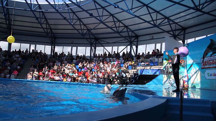 https://mdw-travel-data-us-east-1.s3.amazonaws.com/img/country/Russia/Dolphinarium/img_02.jpg