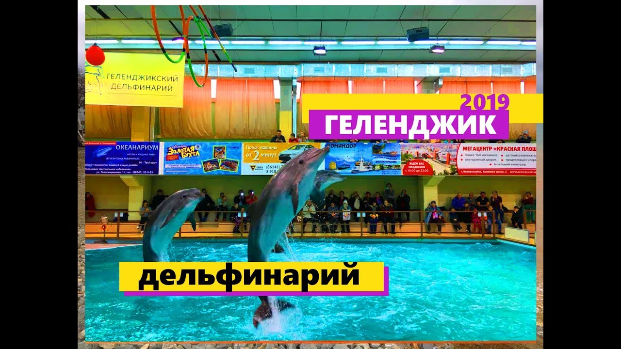 https://mdw-travel-data-us-east-1.s3.amazonaws.com/img/country/Russia/Gelendzhik-Dolphinarium/img_01.jpg