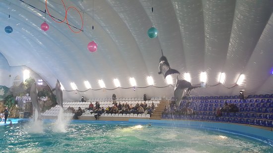 https://mdw-travel-data-us-east-1.s3.amazonaws.com/img/country/Russia/Gelendzhik-Dolphinarium/img_03.jpg