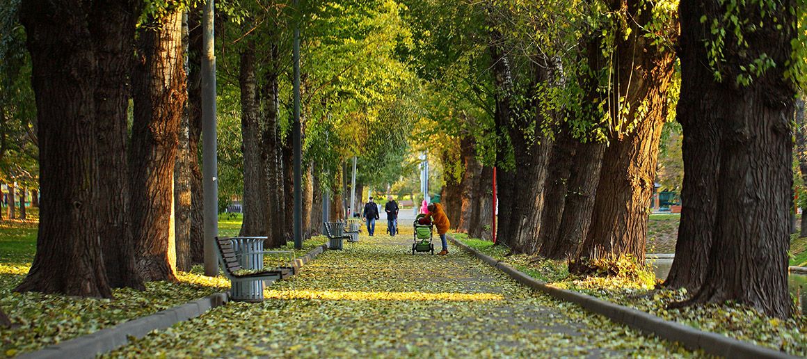 https://mdw-travel-data-us-east-1.s3.amazonaws.com/img/country/Russia/Krasnaya-Gorka-Park/img_02.jpg