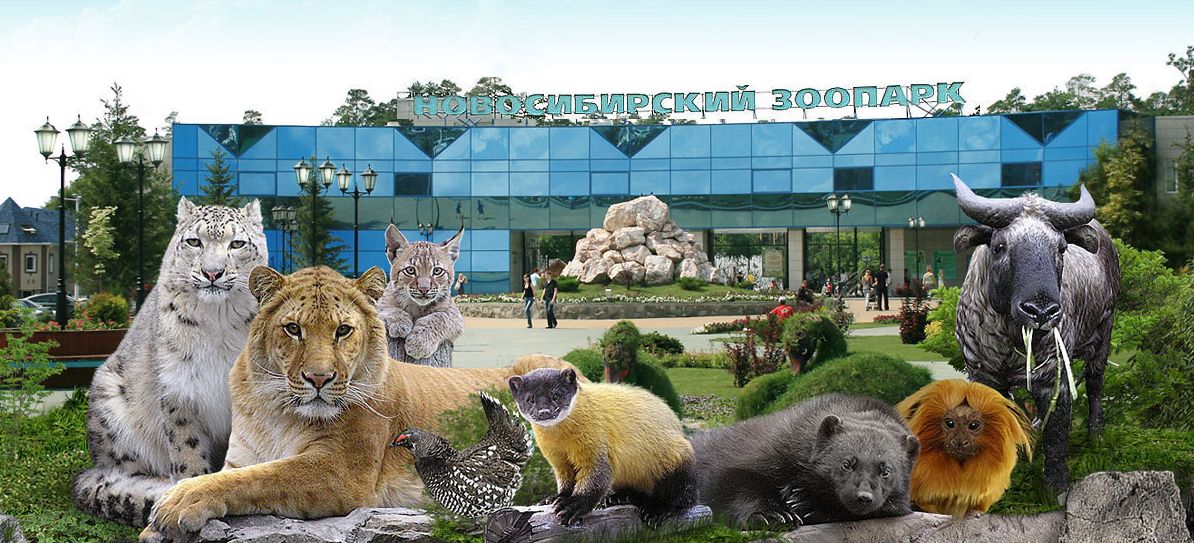 https://mdw-travel-data-us-east-1.s3.amazonaws.com/img/country/Russia/Novosibirsk-Zoo/img_02.jpg