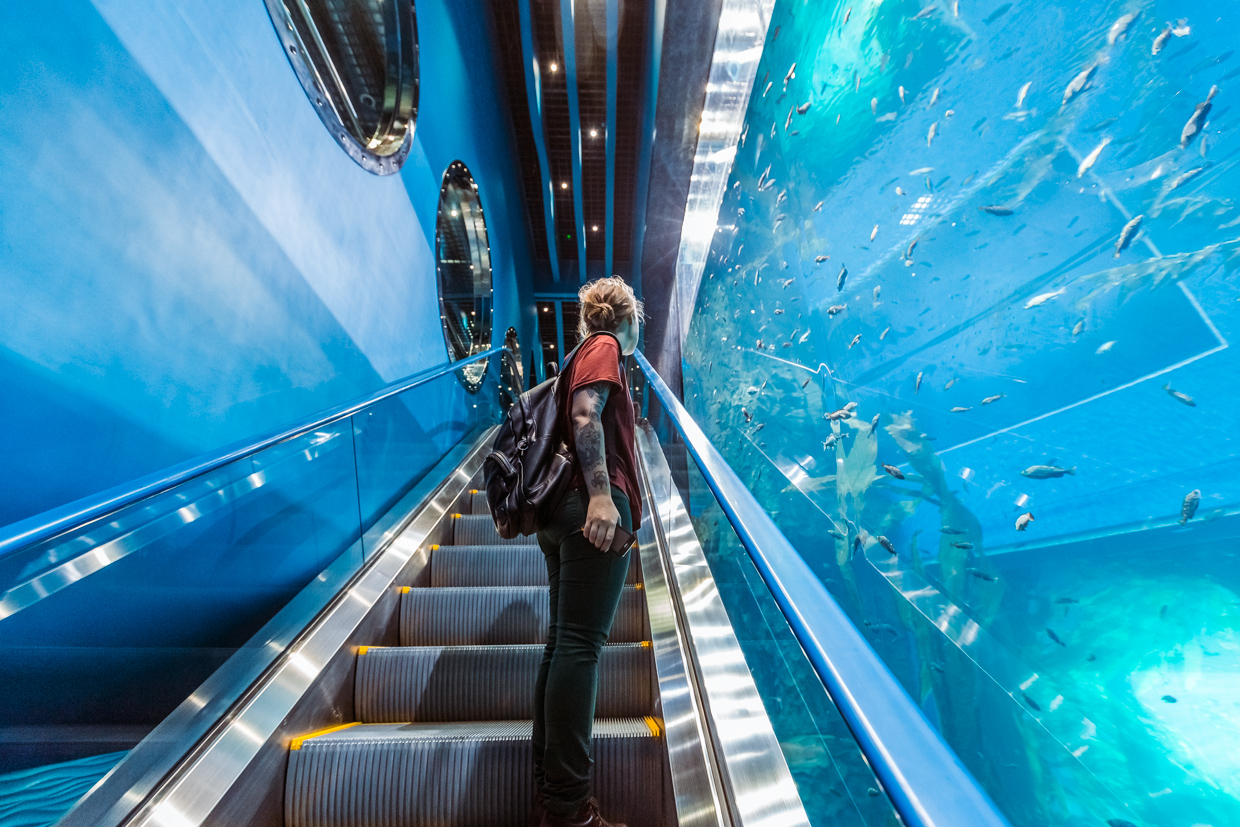 https://mdw-travel-data-us-east-1.s3.amazonaws.com/img/country/Russia/Primorsky-Oceanarium/img_03.jpg