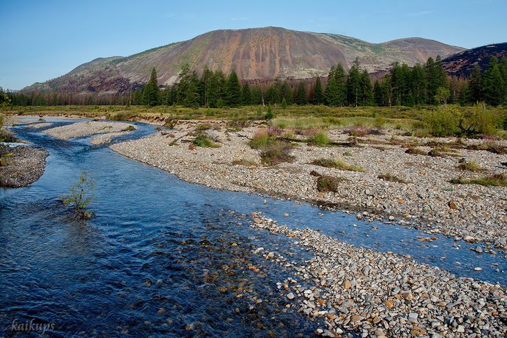 https://mdw-travel-data-us-east-1.s3.amazonaws.com/img/country/Russia/Pure-Streams-Nature-Reserve/img_02.jpg