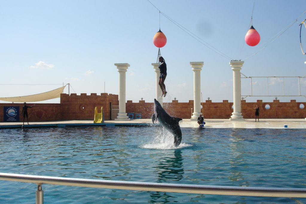 https://mdw-travel-data-us-east-1.s3.amazonaws.com/img/country/Russia/Seapark-Aquatoria/img_02.jpg