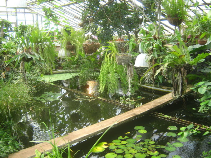 https://mdw-travel-data-us-east-1.s3.amazonaws.com/img/country/Russia/Siberian-Federal-University-Botanical-Garden/img_04.jpg