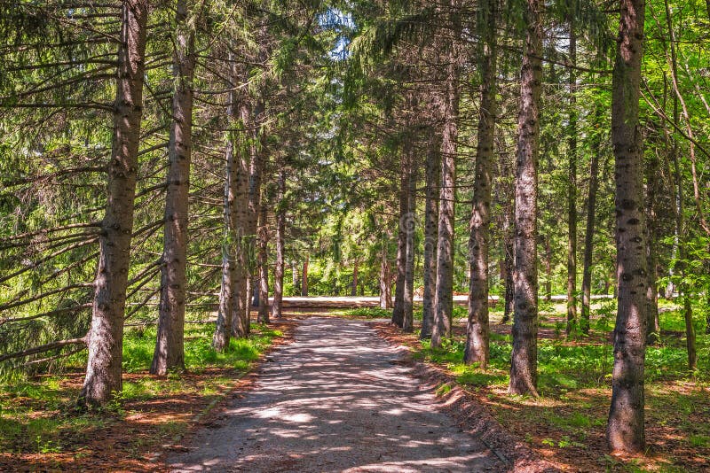 https://mdw-travel-data-us-east-1.s3.amazonaws.com/img/country/Russia/Siberian-Federal-University-Botanical-Garden/img_05.jpg