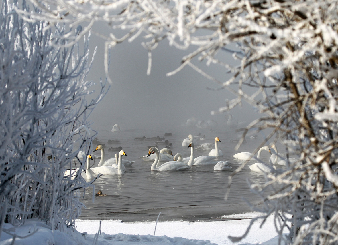 https://mdw-travel-data-us-east-1.s3.amazonaws.com/img/country/Russia/Swan-Lake/img_03.jpg