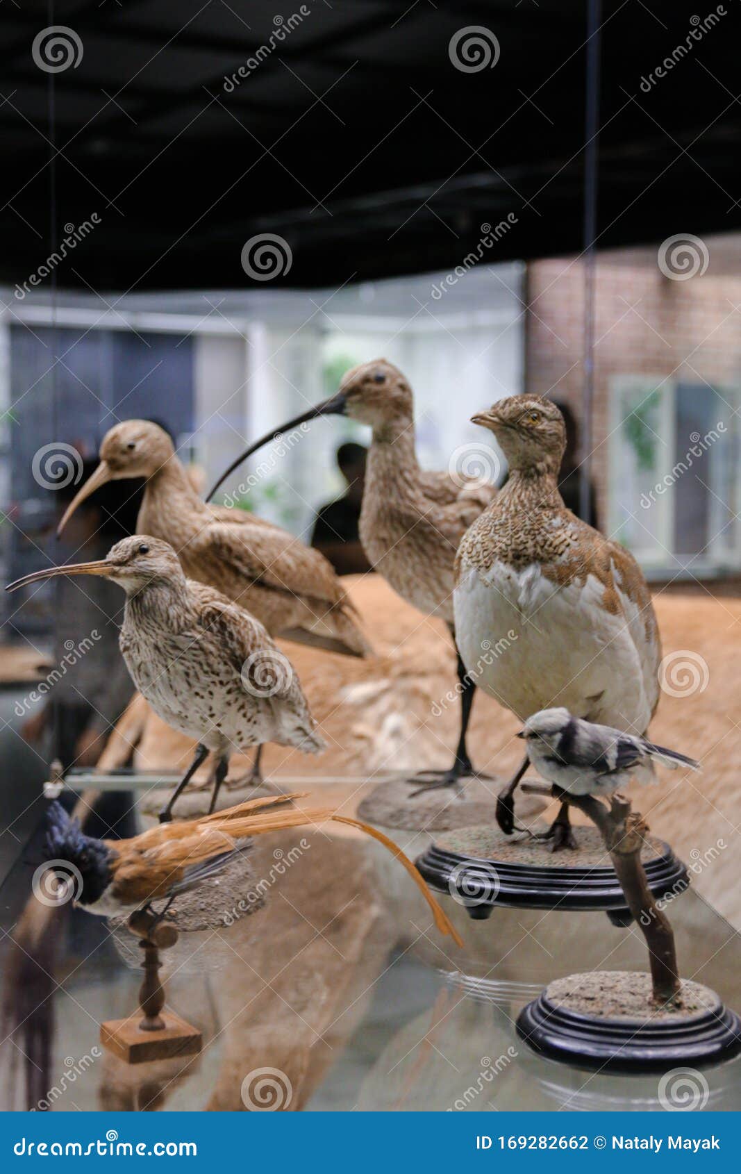 https://mdw-travel-data-us-east-1.s3.amazonaws.com/img/country/Russia/The-State-Darwin-Museum/img_01.jpg