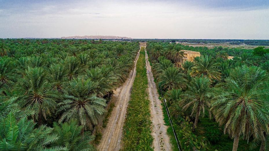 https://mdw-travel-data-us-east-1.s3.amazonaws.com/img/country/Saudi-Arabia/Al-Ahsa-Oasis/img_02.jpg