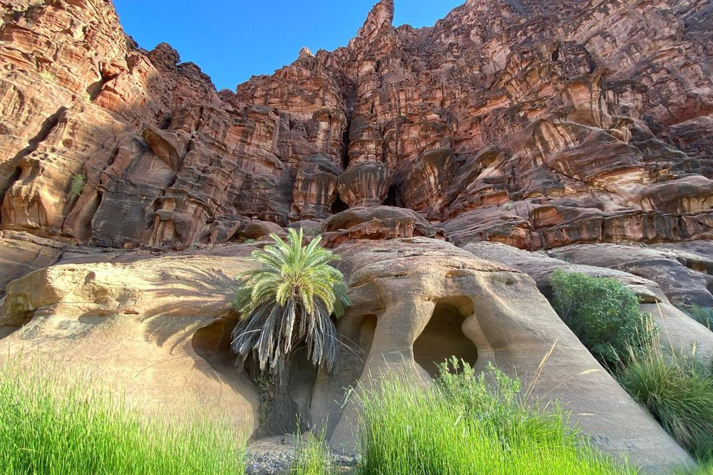 https://mdw-travel-data-us-east-1.s3.amazonaws.com/img/country/Saudi-Arabia/Al-Disah-Village/img_01.jpg