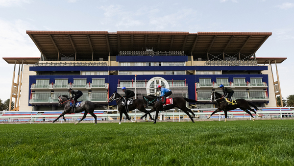 https://mdw-travel-data-us-east-1.s3.amazonaws.com/img/country/Saudi-Arabia/Al-Malaz-Horse-Racing-Track/img_02.jpg