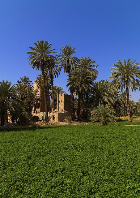 https://mdw-travel-data-us-east-1.s3.amazonaws.com/img/country/Saudi-Arabia/Al-Marakz-Garden/img_02.jpg