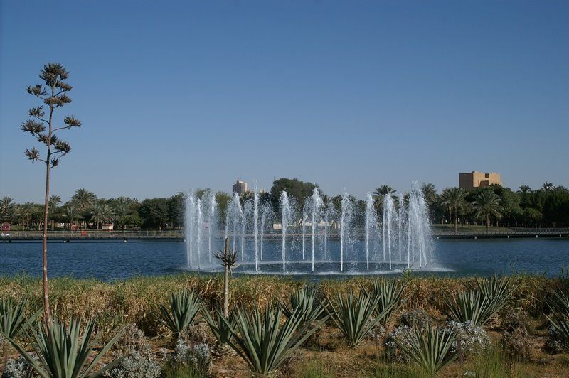 https://mdw-travel-data-us-east-1.s3.amazonaws.com/img/country/Saudi-Arabia/Al-Musbah-Garden-Park/img_03.jpg