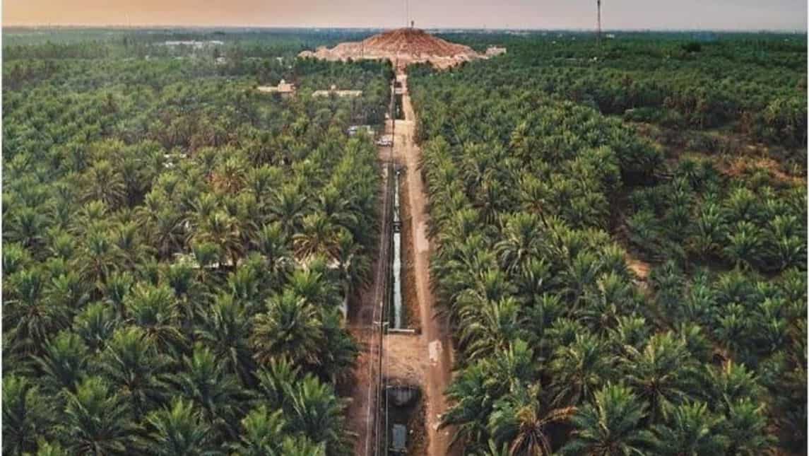 https://mdw-travel-data-us-east-1.s3.amazonaws.com/img/country/Saudi-Arabia/Al-Saad-National-Park/img_01.jpg