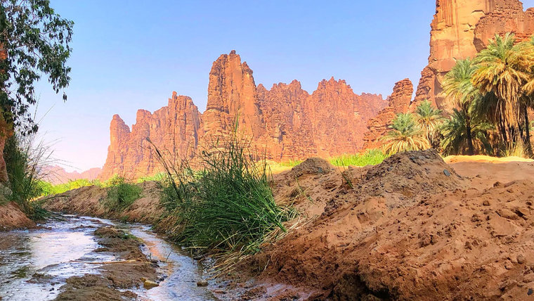 https://mdw-travel-data-us-east-1.s3.amazonaws.com/img/country/Saudi-Arabia/Al-Saad-National-Park/img_03.jpg