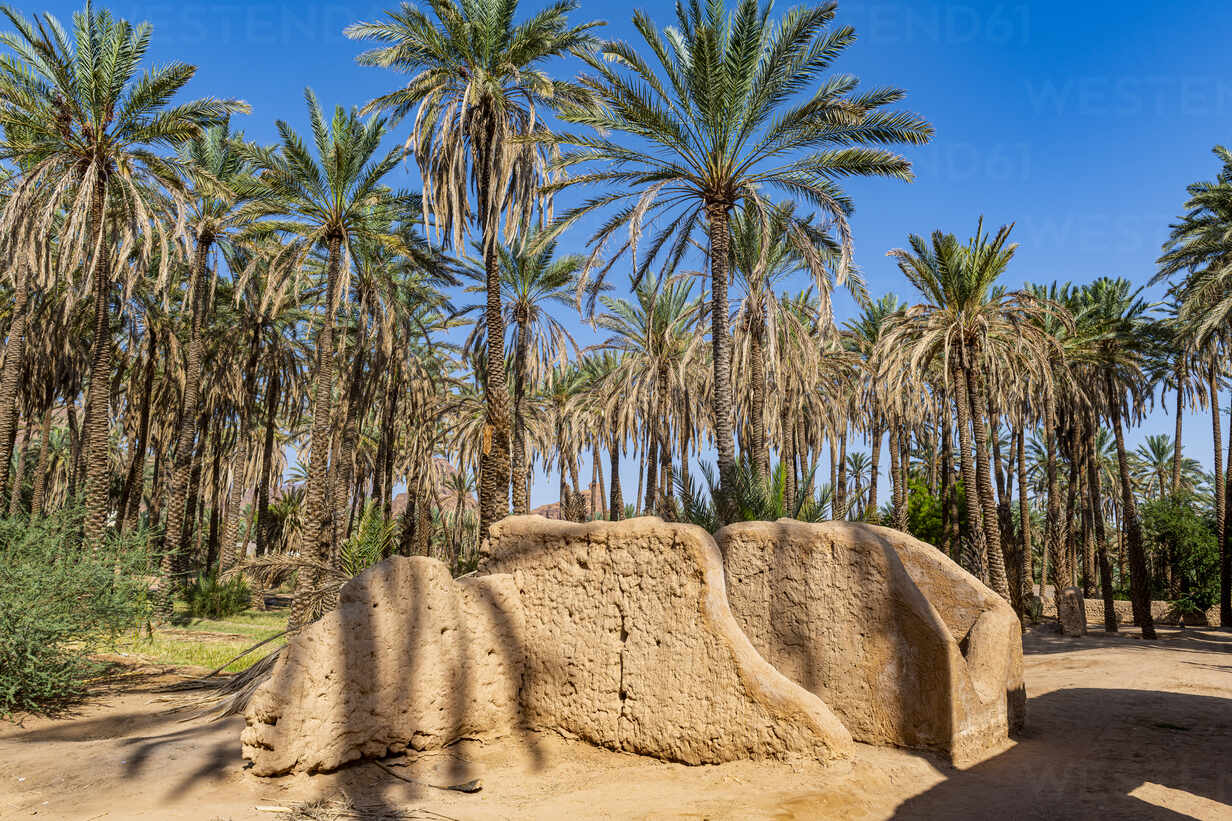 https://mdw-travel-data-us-east-1.s3.amazonaws.com/img/country/Saudi-Arabia/Al-Ula-Oasis/img_01.jpg