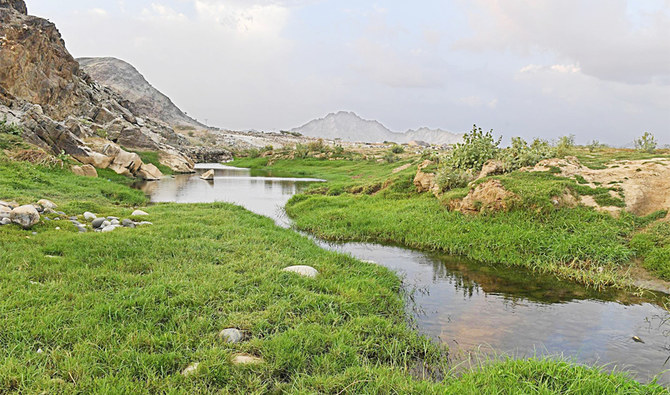 https://mdw-travel-data-us-east-1.s3.amazonaws.com/img/country/Saudi-Arabia/Asir-Mountains/img_01.jpg
