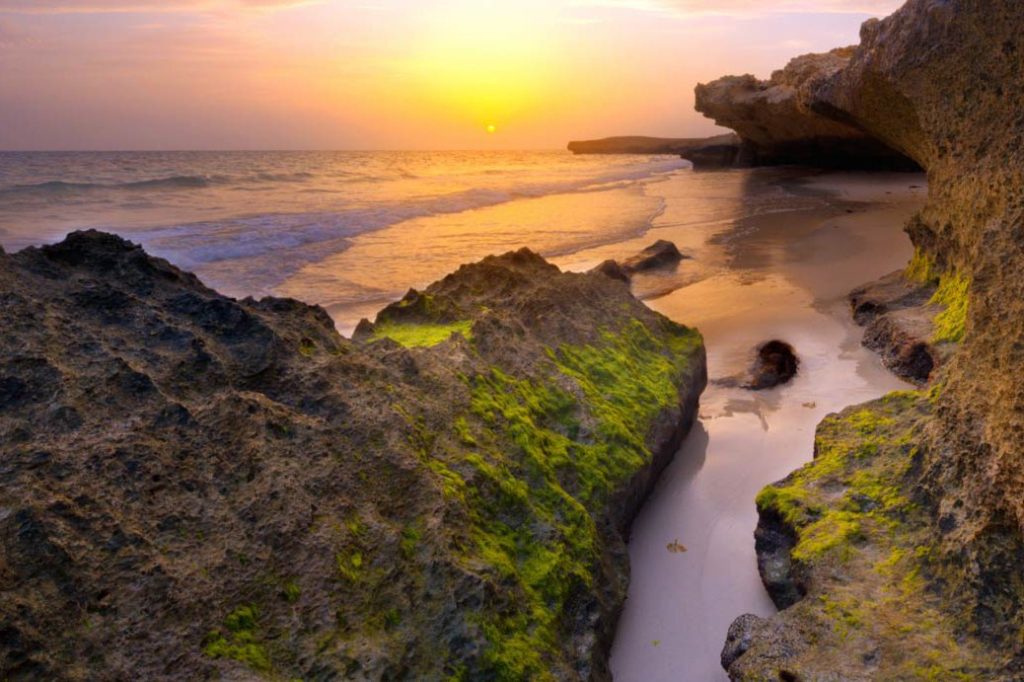 https://mdw-travel-data-us-east-1.s3.amazonaws.com/img/country/Saudi-Arabia/Coral-Island/img_01.jpg