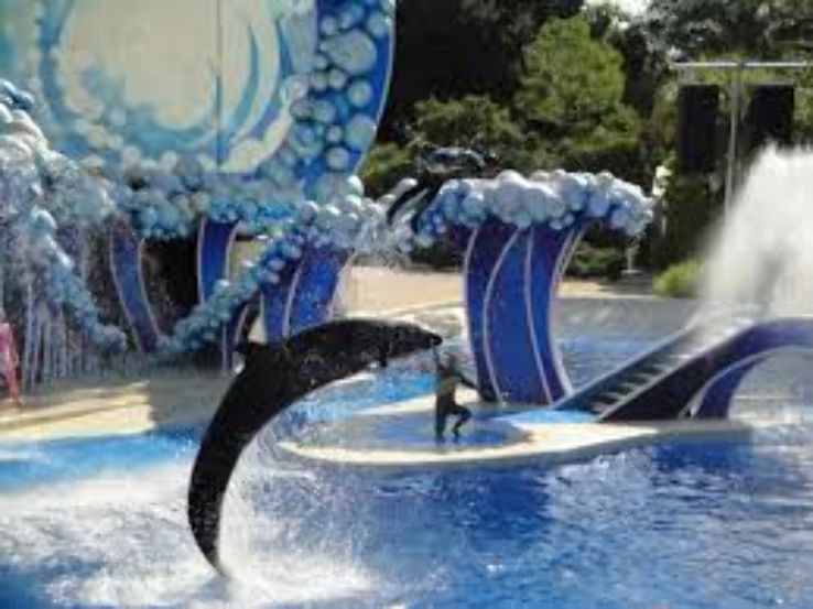 https://mdw-travel-data-us-east-1.s3.amazonaws.com/img/country/Saudi-Arabia/Dolphin-Village/img_01.jpg