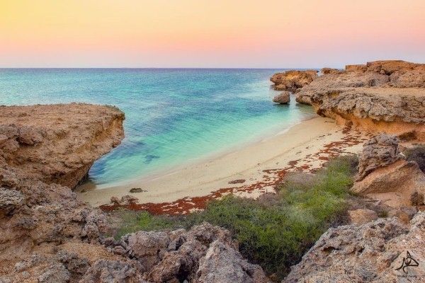 https://mdw-travel-data-us-east-1.s3.amazonaws.com/img/country/Saudi-Arabia/Farasan-Island/img_02.jpg