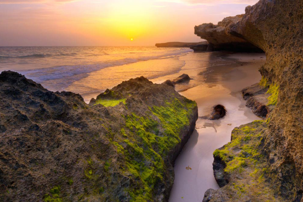 https://mdw-travel-data-us-east-1.s3.amazonaws.com/img/country/Saudi-Arabia/Farasan-Islands/img_00.jpg