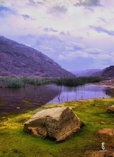 https://mdw-travel-data-us-east-1.s3.amazonaws.com/img/country/Saudi-Arabia/Najran-National-Park/img_04.jpg