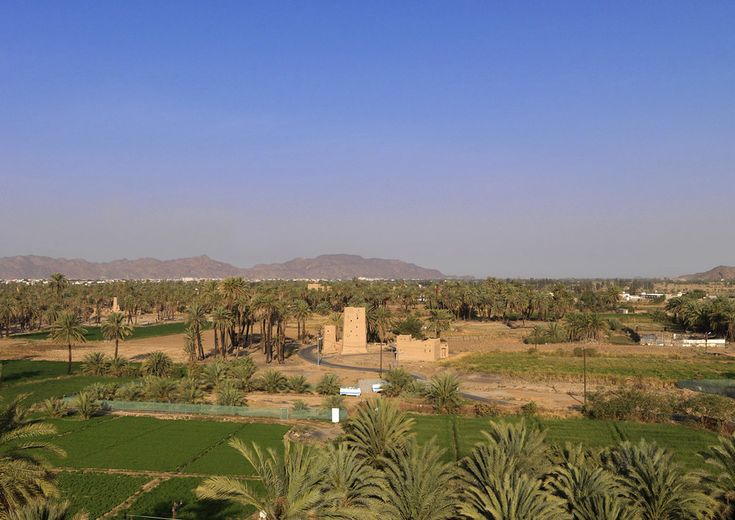 https://mdw-travel-data-us-east-1.s3.amazonaws.com/img/country/Saudi-Arabia/Najran-National-Park/img_05.jpg