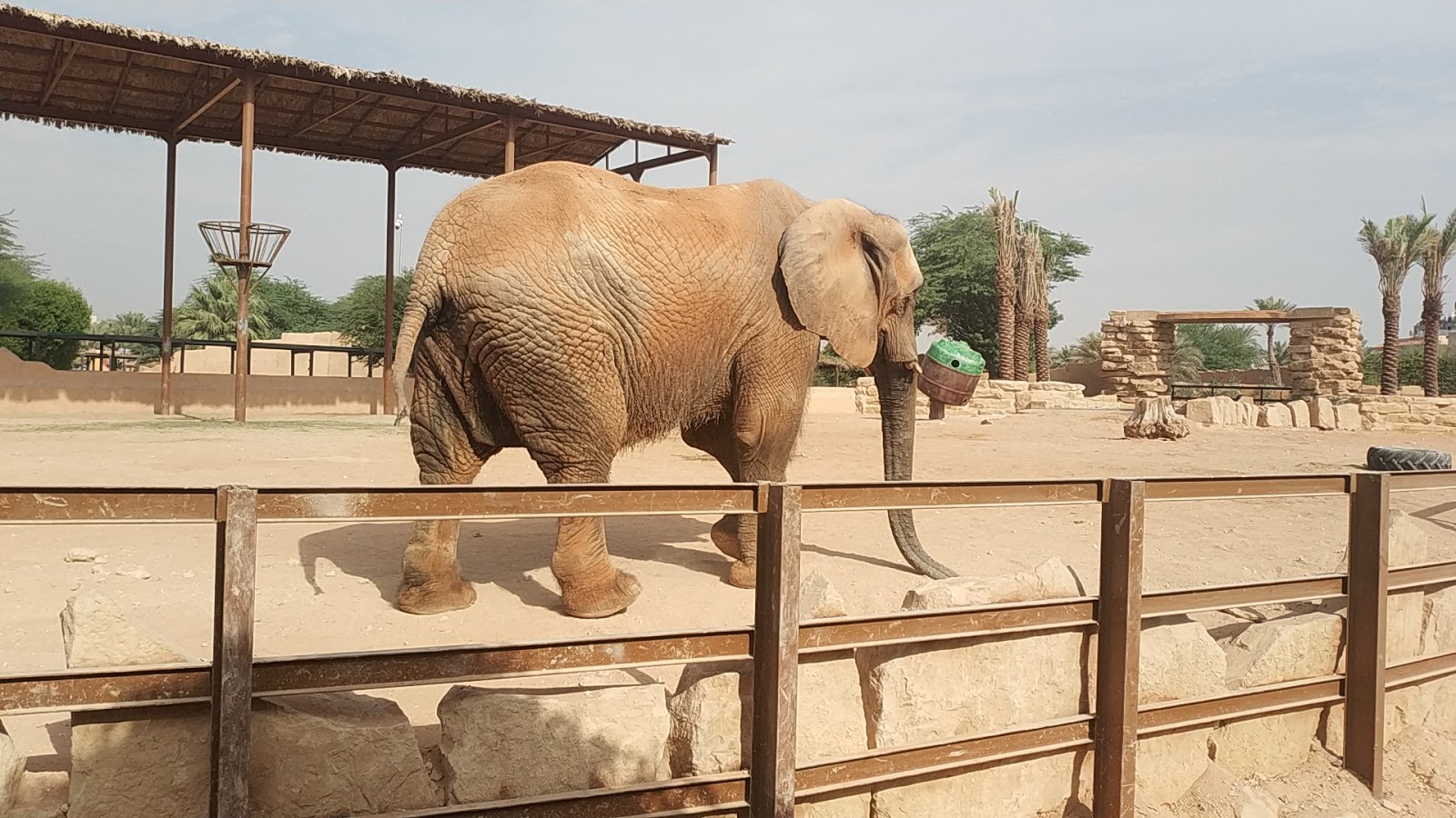 https://mdw-travel-data-us-east-1.s3.amazonaws.com/img/country/Saudi-Arabia/Najran-Zoo/img_02.jpg