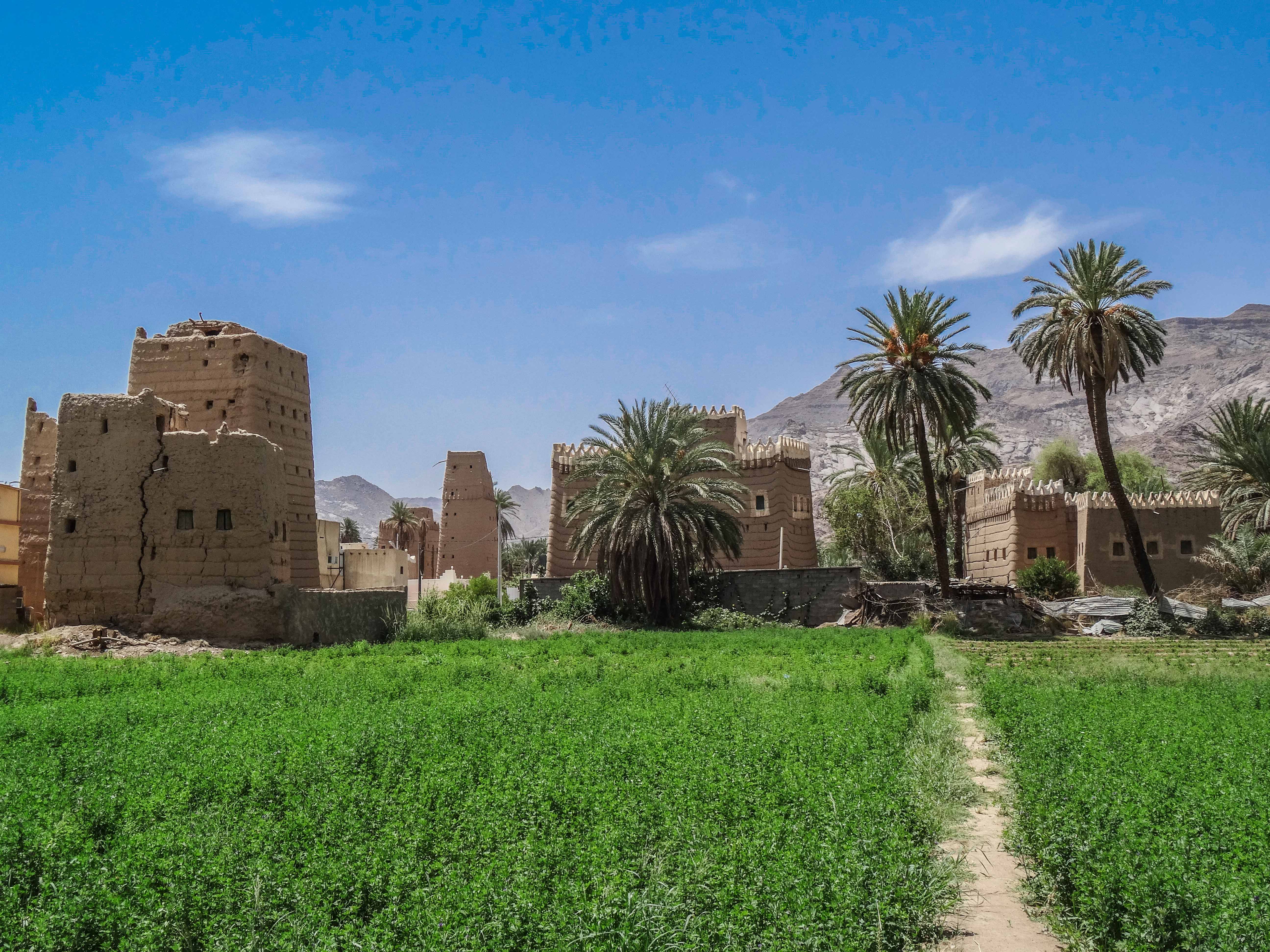 https://mdw-travel-data-us-east-1.s3.amazonaws.com/img/country/Saudi-Arabia/Oasis-Garden/img_02.jpg