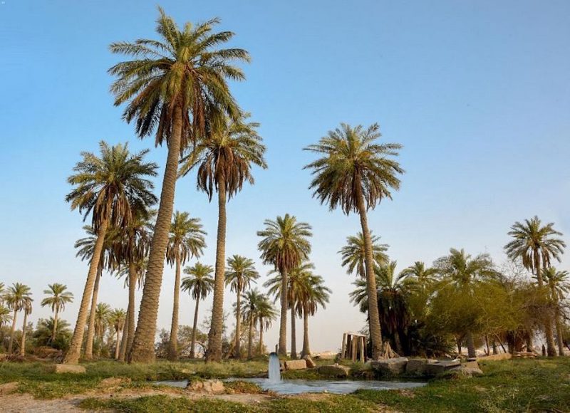 https://mdw-travel-data-us-east-1.s3.amazonaws.com/img/country/Saudi-Arabia/Oasis-of-Al-Ahsa/img_03.jpg