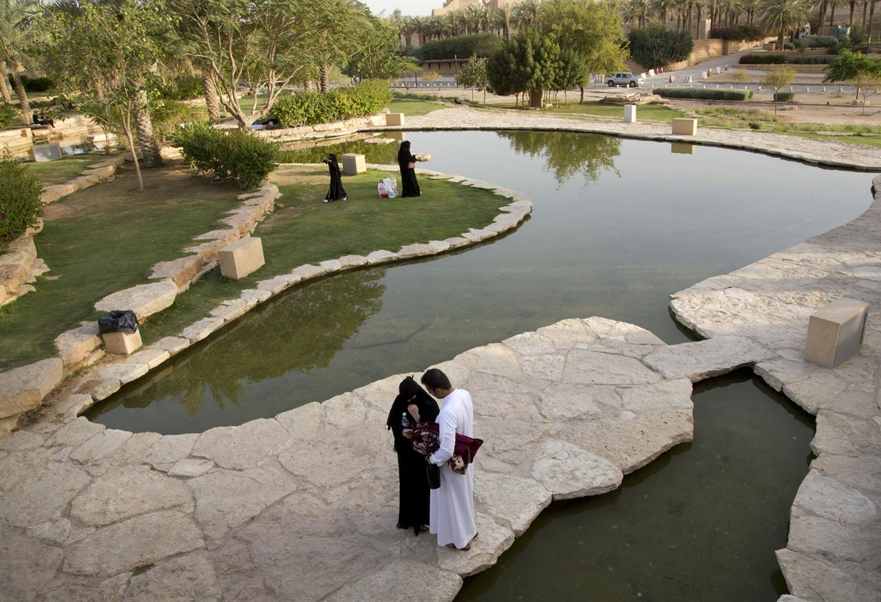 https://mdw-travel-data-us-east-1.s3.amazonaws.com/img/country/Saudi-Arabia/Oudan/img_05.jpg