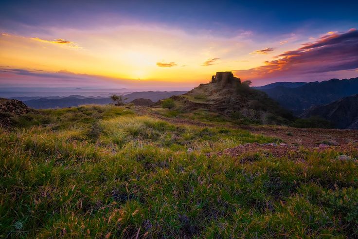 https://mdw-travel-data-us-east-1.s3.amazonaws.com/img/country/Saudi-Arabia/Palms-Valley--Sela-Valley-/img_01.jpg