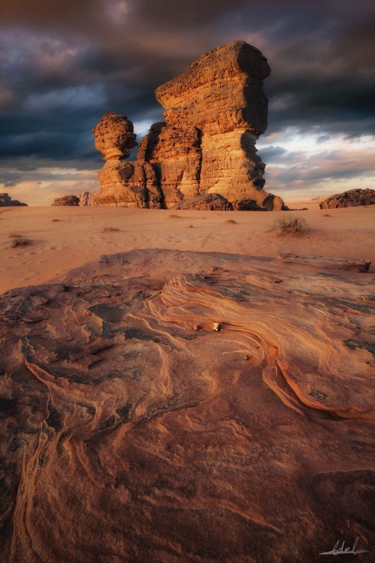 https://mdw-travel-data-us-east-1.s3.amazonaws.com/img/country/Saudi-Arabia/Palms-Valley--Sela-Valley-/img_02.jpg