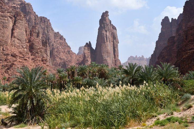 https://mdw-travel-data-us-east-1.s3.amazonaws.com/img/country/Saudi-Arabia/Palms-Valley-Sela-Valley/img_00.jpg