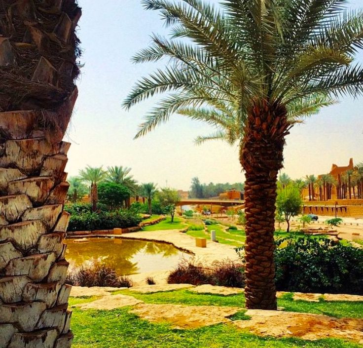 https://mdw-travel-data-us-east-1.s3.amazonaws.com/img/country/Saudi-Arabia/Qaisariyah-Garden/img_01.jpg