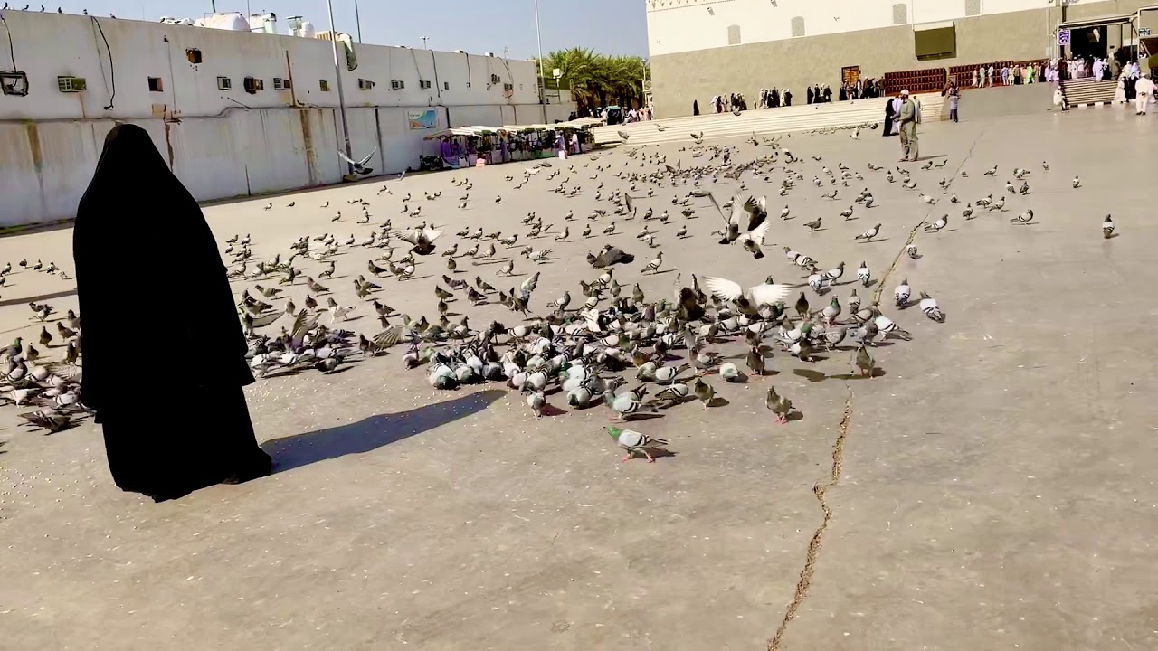 https://mdw-travel-data-us-east-1.s3.amazonaws.com/img/country/Saudi-Arabia/Quba-Souk/img_02.jpg