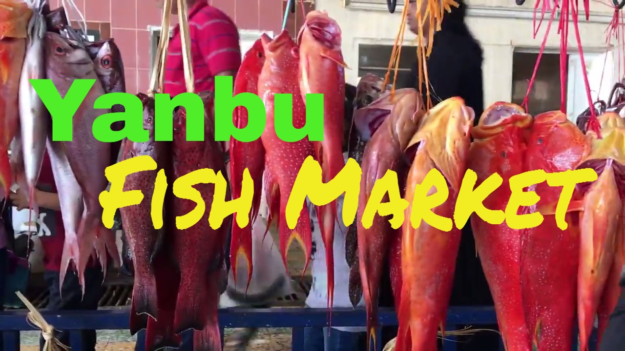 https://mdw-travel-data-us-east-1.s3.amazonaws.com/img/country/Saudi-Arabia/Yanbu-Fish-Market/img_02.jpg