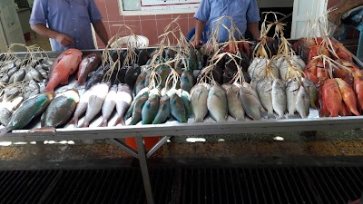 https://mdw-travel-data-us-east-1.s3.amazonaws.com/img/country/Saudi-Arabia/Yanbu-Fish-Market/img_03.jpg
