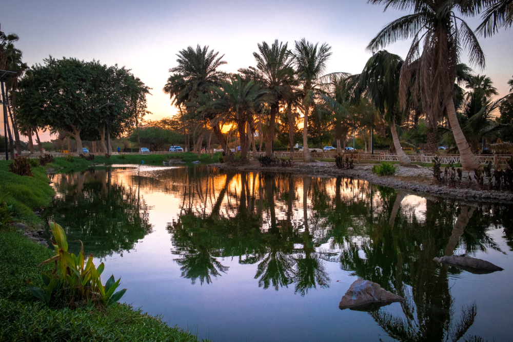 https://mdw-travel-data-us-east-1.s3.amazonaws.com/img/country/Saudi-Arabia/Yanbu-Nature-Park/img_02.jpg